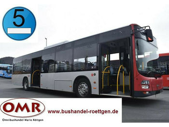 Gradski autobus MAN A37 Lion´s City/A20/A21/530/Citaro/EEV: slika 1