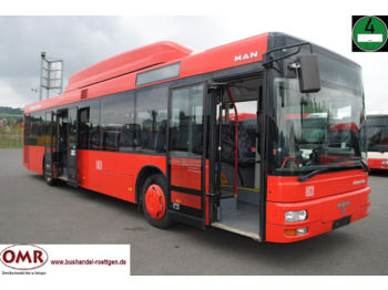 Gradski autobus MAN A 20 CNG/Erdgas/530/Lions City/315/2x vorhanden: slika 1