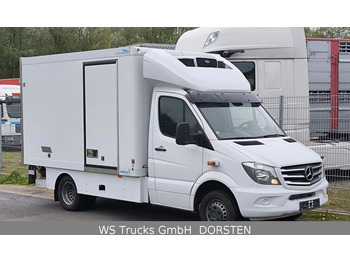 Mercedes-Benz Sprinter I Kühlkoffer Carrier Hebebühne  - Dostavno vozilo hladnjača: slika 2
