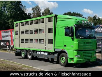 Kamion za prevoz stoke DAF  XF 105/460 SC Menke 3 Stock Hubdach: slika 1