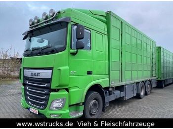 Kamion za prevoz stoke DAF XF 460   Menke 3 Stock: slika 1