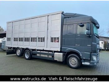 Kamion za prevoz stoke DAF XF 480 "Neu"  Menke 3 Stock Hubdach: slika 1