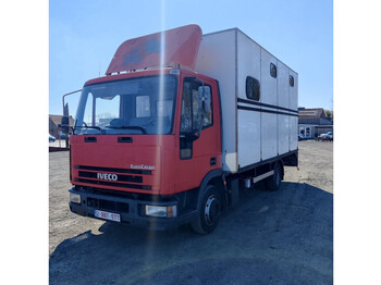Kamion za prevoz konja Iveco eurocargo: slika 1