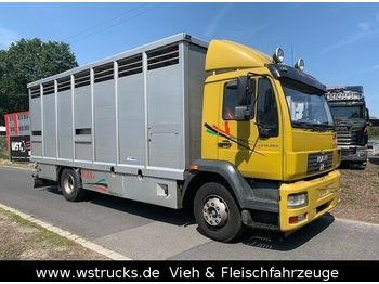 Kamion za prevoz stoke MAN 15.220 Menke Einstock: slika 1