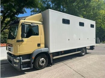 Kamion za prevoz stoke MAN Pferdetransporter: slika 1