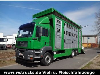Kamion za prevoz stoke MAN TGA 26.350 Finkl 3 Stock Lift Hubdach: slika 1