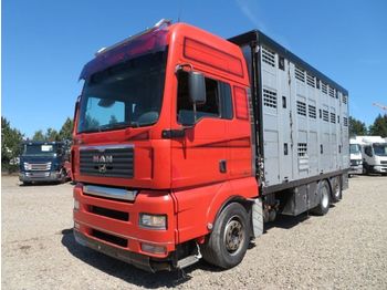Kamion za prevoz stoke MAN TGA 26.480 6x2 Menke 3 Stock: slika 1