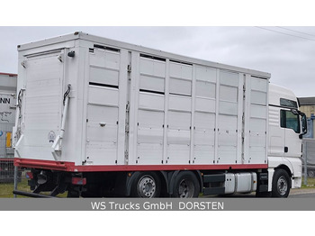 MAN TGX 26.440 FG 6x2  Menke Janzen 3 Stock  - Kamion za prevoz stoke: slika 4