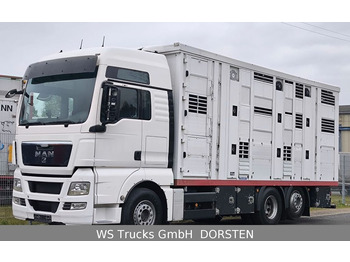 MAN TGX 26.440 FG 6x2  Menke Janzen 3 Stock  - Kamion za prevoz stoke: slika 1
