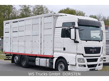 MAN TGX 26.440 FG 6x2  Menke Janzen 3 Stock  - Kamion za prevoz stoke: slika 2