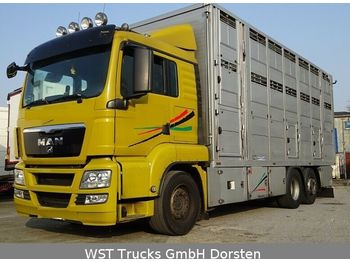 Kamion za prevoz stoke MAN TGX 26.440 LX Menke 3 Stock: slika 1