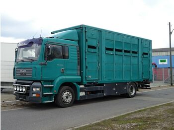 Kamion za prevoz stoke MAN TG-A 18.310 FG  / LL: slika 1