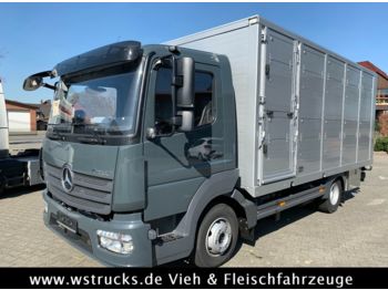 Kamion za prevoz stoke za prevoz životinja Mercedes-Benz 821L" Neu" WST Edition" Menke Einstock Vollalu: slika 1