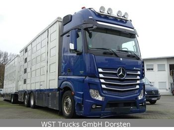 Kamion za prevoz stoke Mercedes-Benz Actros  2551 Menke 4 Stock Vollalu Hubach: slika 1