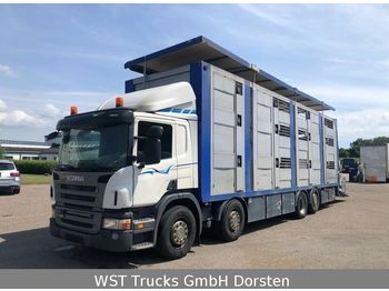 Kamion za prevoz stoke Scania P 380  Menke Doppelstock 8,10m Hubdach: slika 1