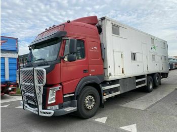 Kamion za prevoz stoke Volvo FM 380 6X2 - BOX LENGTH 9,00 METER: slika 1