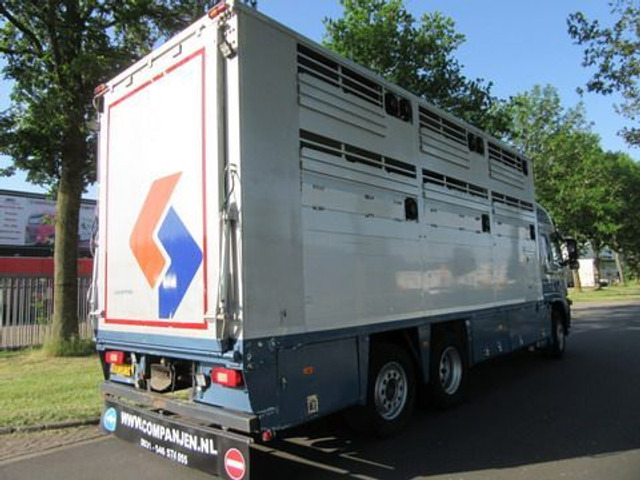 Kamion za prevoz stoke Volvo FM 9: slika 18