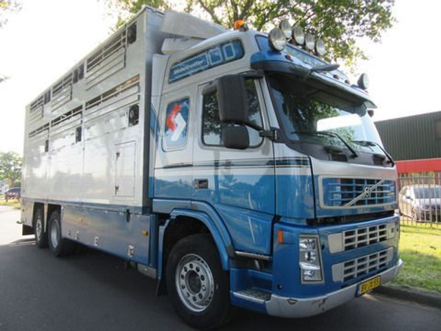 Kamion za prevoz stoke Volvo FM 9: slika 3
