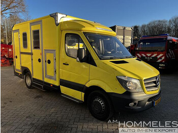 Vozilo hitne pomoći Mercedes-Benz 519 ambulance