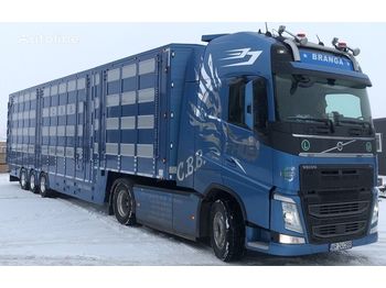 Novu Poluprikolica za prevoz stoke za prevoz životinja New PLAVAC 3+4: slika 1