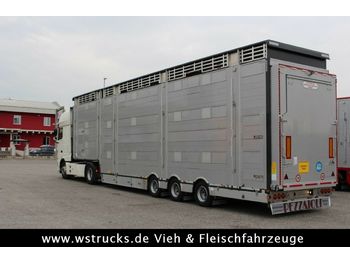 Poluprikolica za prevoz stoke Pezzaioli SBA31-SR 3 Stock Vermietung