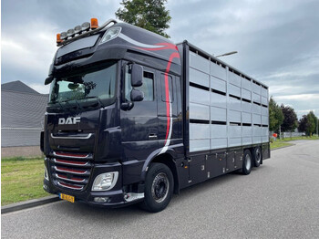 Kamion za prevoz stoke DAF XF 460