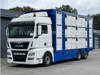 Kamion za prevoz stoke MAN TGX 26.480
