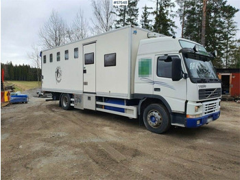 Kamion za prevoz stoke VOLVO FM7
