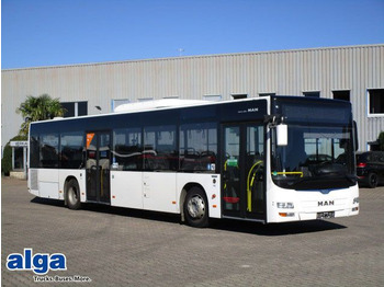 MAN Lions City, A 21, A/C, Euro 6, 41 Sitze  - Gradski autobus: slika 1