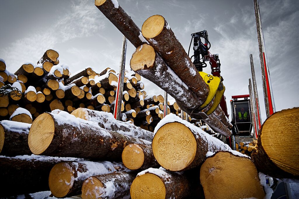 Tractoaredepadure.ro - vozila za prodaju undefined: slika 8