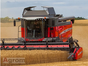 Kombinovani kombajn MASSEY FERGUSON