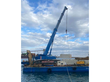 Kran guseničar LIEBHERR