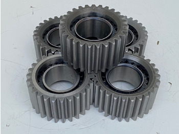 : fotografija u zaglavlju