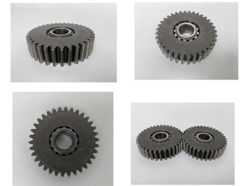 : fotografija u zaglavlju