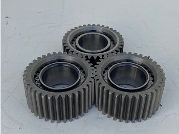 : fotografija u zaglavlju