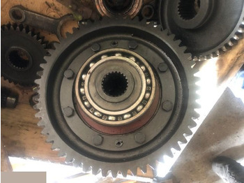 : fotografija u zaglavlju