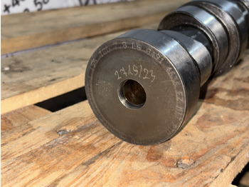 : fotografija u zaglavlju