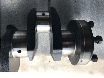 : fotografija u zaglavlju