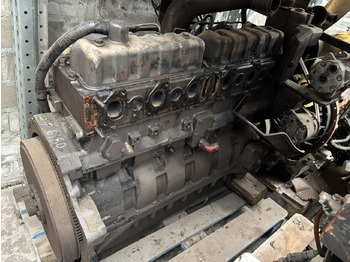 : fotografija u zaglavlju