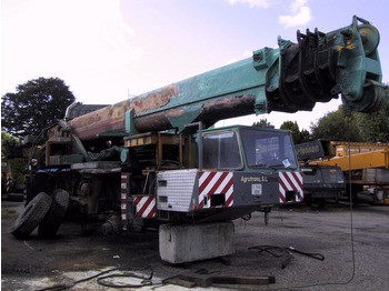 Autodizalica TEREX