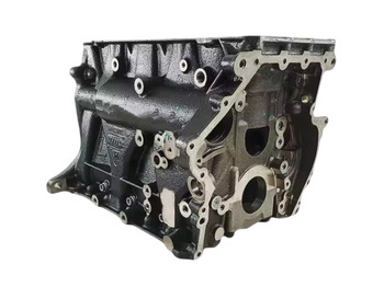 Cilindar blok IVECO Daily