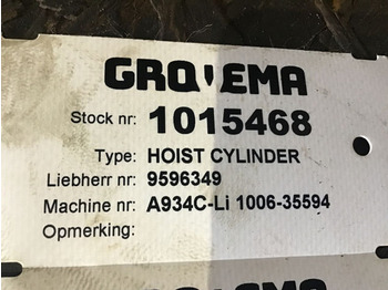 Hidraulični cilindar LIEBHERR