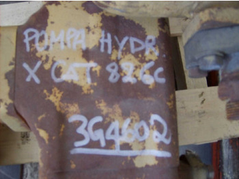 : fotografija u zaglavlju