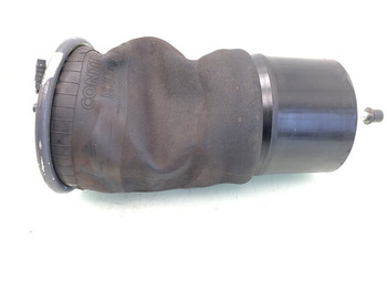 Pneumatska suspenzija DAF