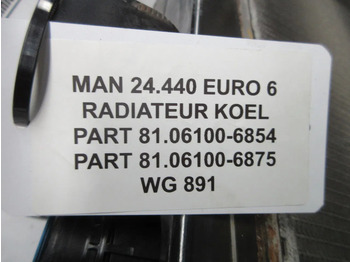 Radijator za Kamion MAN 81.06100-6854//81.06100-6875 RADITEUR MAN COMPLEET EURO 6: slika 4
