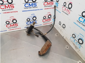 : fotografija u zaglavlju