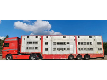 Poluprikolica za prevoz stoke Pezzaioli 2017 / 3 POZIOMY / TRANSPORT ZWIERZĄT / HYDRAULIKA / STEROWANIE PILOTEM/ PODNOSZONY DACH /: slika 2