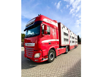 Poluprikolica za prevoz stoke Pezzaioli NACZEPA  2017 / 3 POZIOMY / TRANSPORT ZWIERZĄT / HYDRAULIKA / STEROWANIE PILOTEM/ PODNOSZONY DACH /: slika 5 Poluprikolica za prevoz stoke Pezzaioli NACZEPA  2017 / 3 POZIOMY / TRANSPORT ZWIERZĄT / HYDRAULIKA / STEROWANIE PILOTEM/ PODNOSZONY DACH /: slika 5