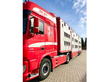 Poluprikolica za prevoz stoke Pezzaioli NACZEPA  2017 / 3 POZIOMY / TRANSPORT ZWIERZĄT / HYDRAULIKA / STEROWANIE PILOTEM/ PODNOSZONY DACH /: slika 4 Poluprikolica za prevoz stoke Pezzaioli NACZEPA  2017 / 3 POZIOMY / TRANSPORT ZWIERZĄT / HYDRAULIKA / STEROWANIE PILOTEM/ PODNOSZONY DACH /: slika 4