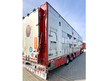 Poluprikolica za prevoz stoke Pezzaioli NACZEPA  2017 / 3 POZIOMY / TRANSPORT ZWIERZĄT / HYDRAULIKA / STEROWANIE PILOTEM/ PODNOSZONY DACH /: slika 3 Poluprikolica za prevoz stoke Pezzaioli NACZEPA  2017 / 3 POZIOMY / TRANSPORT ZWIERZĄT / HYDRAULIKA / STEROWANIE PILOTEM/ PODNOSZONY DACH /: slika 3